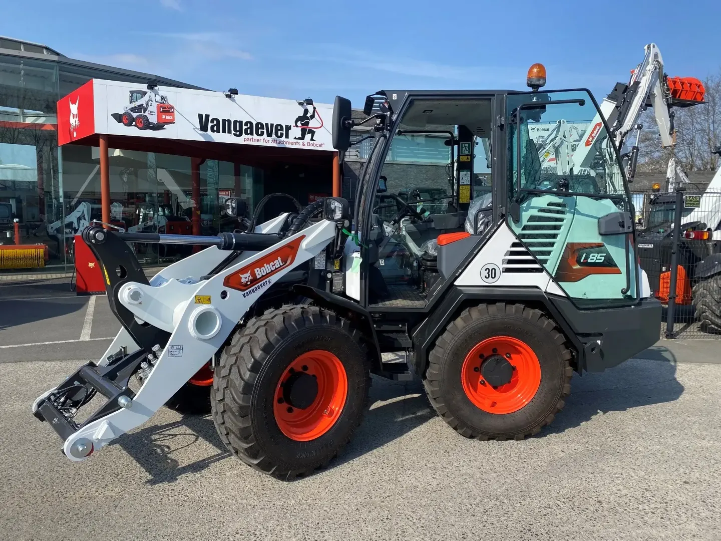 Vangaever